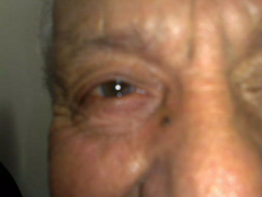 Hornsby_Library_10th_July_2012